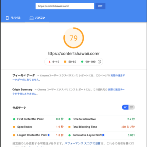Google PageSpeed Insights Score 79