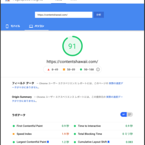 Google PageSpeed Insights Score 91