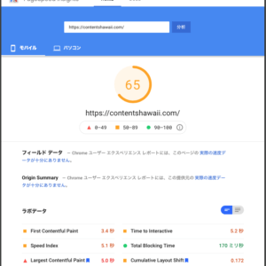 Google PageSpeed Insights Score 65