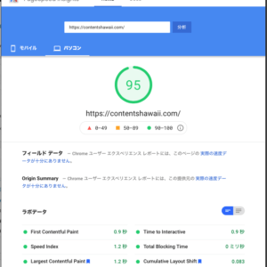 Google PageSpeed Insights Score 95